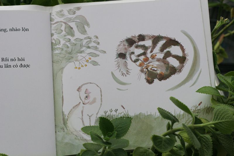 Con mèo triệu kiếp - Sano Yoko